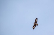 14-09-2013 – Traversata in quota da Piazza Brembana al Passo San Marco  - FOTOGALLERY